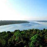 Zamrud-National-Park-of-Riau
