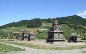 dieng01a