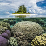 Coral Reef around Island, Raja Ampat