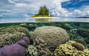 Coral Reef around Island, Raja Ampat