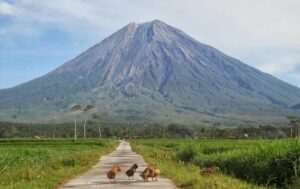 semeru03