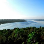 Cagar_Biosfer_Giam_Siak_Kecil_Bukit_Batu_Riau