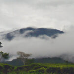 1920px-Gunung_Gede_in_The_Clouds