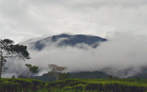 1920px-Gunung_Gede_in_The_Clouds