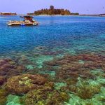 Taman Nasional Laut Kepulauan Seribu