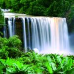 Awang Waterfall: this waterfall has a cliff with a height of more than 40 meters. Curug Awang is located in the Ciletuh River.