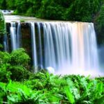 Awang Waterfall: this waterfall has a cliff with a height of more than 40 meters. Curug Awang is located in the Ciletuh River.