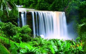 Awang Waterfall: this waterfall has a cliff with a height of more than 40 meters. Curug Awang is located in the Ciletuh River.