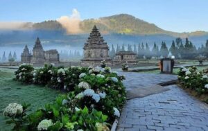 dieng001