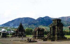 dieng003