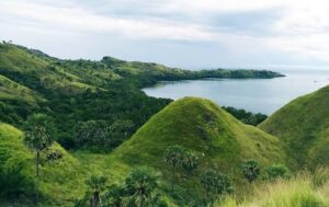 labuanbajo001