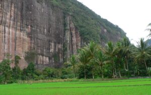 harau001