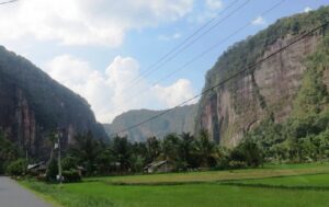 harau002