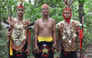 dayak003