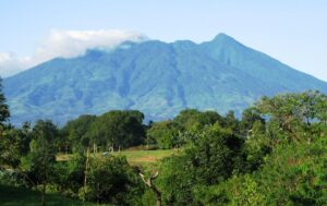 gunung-palung